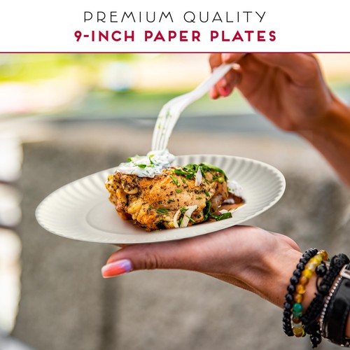 9-Inch Disposable Paper Plates - 500 Count - Bulk Pack of Uncoated Paper Plat... - Picture 5 of 7