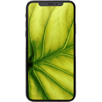 Apple iPhone X 64 GB Spacegrau Smartphone Handy Refurbished