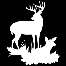 Deer Buck Family - White Vinyl Graphic Decal Car Truck Windows Laptop Notebook