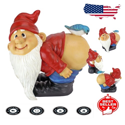 Cute 12" Loonie Moonie Gnome - Conversation Piece for Any Garden Setting - 第 1/10 張圖片