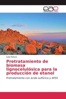 Lady Mateus | Pretratamiento De Biomasa LignocelulóSica Para La ProduccióN De...