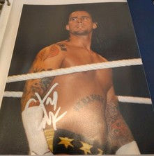 CM Punk Cards and Autographed Memorabilia Guide 29