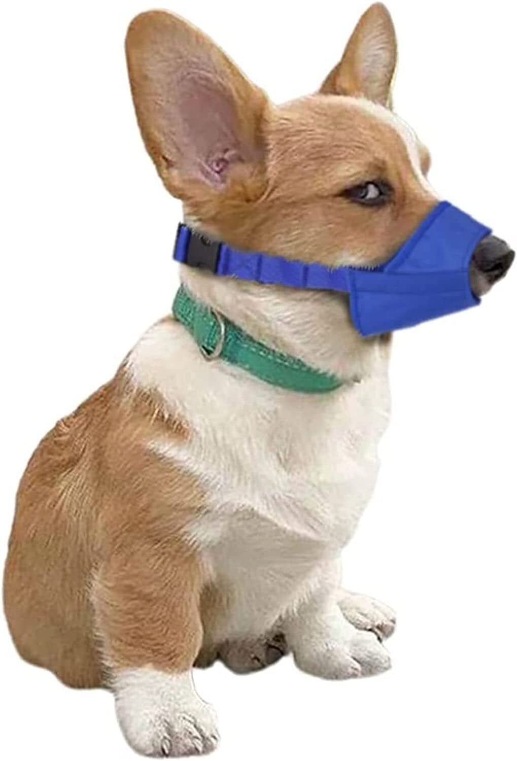 chewy sticks