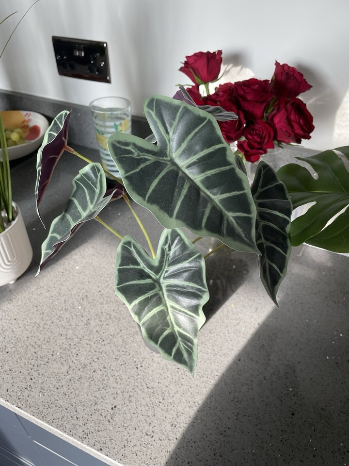 3 x artificial plants From Marks and Spencer and Dunelm eBay