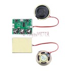 100S Greeting Card Recordable Voice Chip Music Box Sound Module Musical Board
