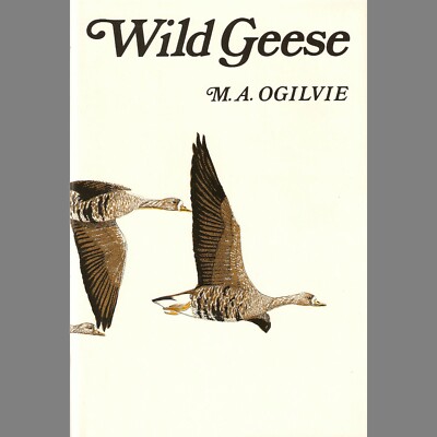 OGILVIE MALCOLM BUTEO / POYSER BIRD BOOK WILD GEESE GOOSE ORNITHOLOGY hardbk NEW