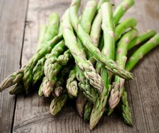 100++ ASPARAGUS Seeds- MARY WASHINGTON-NON - GMO, Heirloom  Seeds -USA FREE SHIP