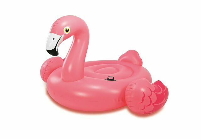 intex flamingo