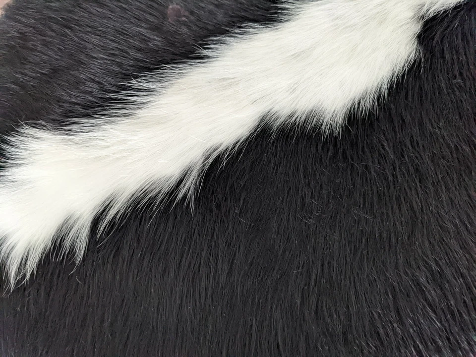 Genuine Studded Cowhide Storage/ Footstool - Image 4 of 4