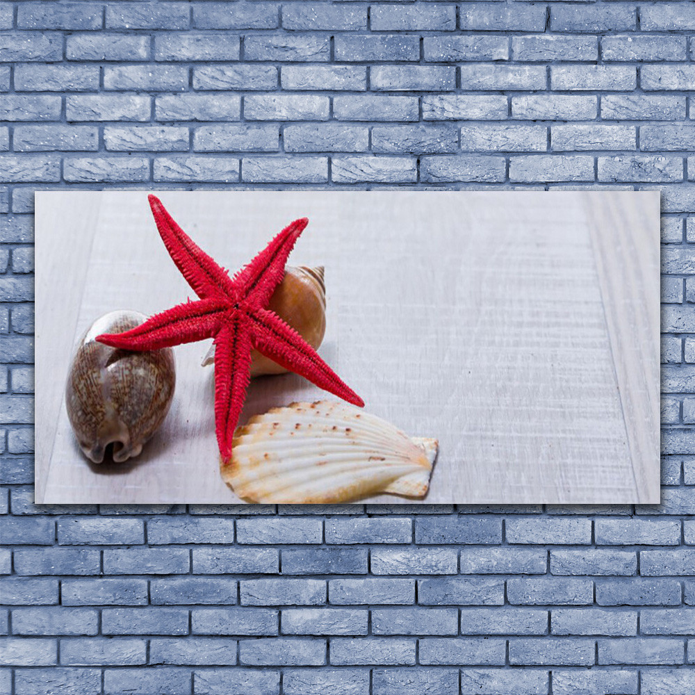 Tableau impression image sur plexiglas 140x70 art coquille étoile de mer déco murale