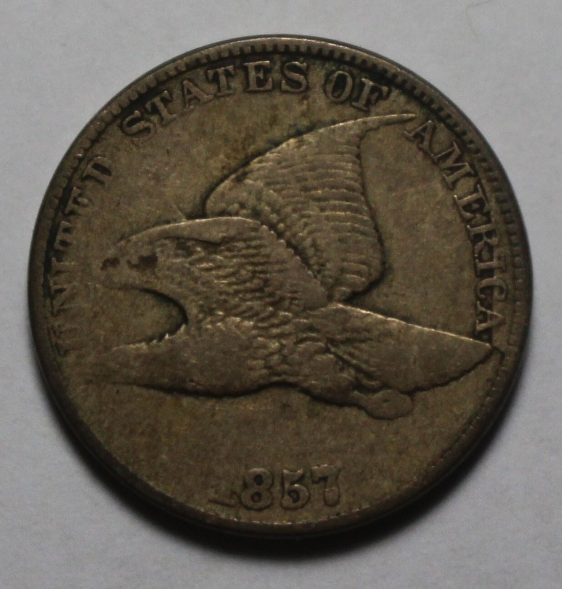 1857 Flying Eagle Cent ZC747 Clashed With Seated Half | eBay