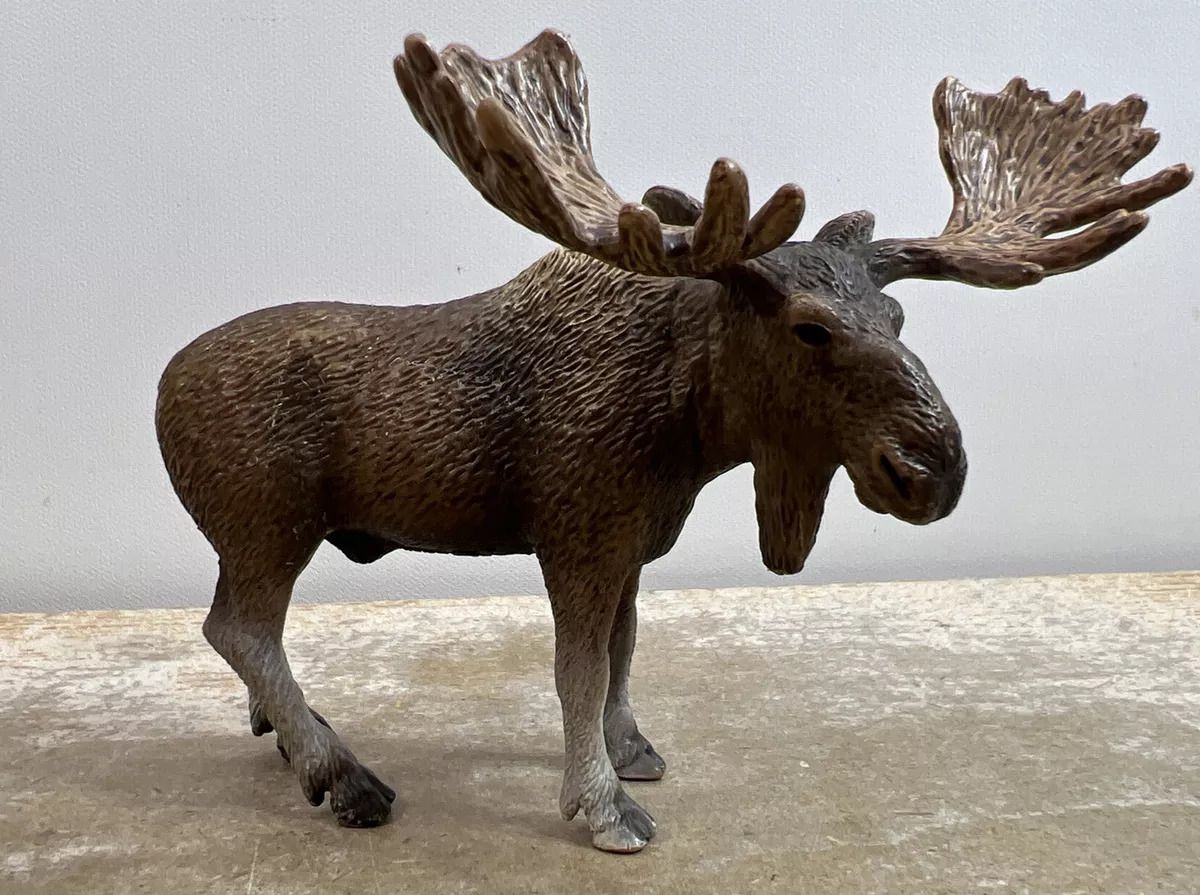 Male moose sale