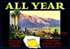 All Year - Ventura County Lemons Sunkist - California 1930's Crate Label Poster