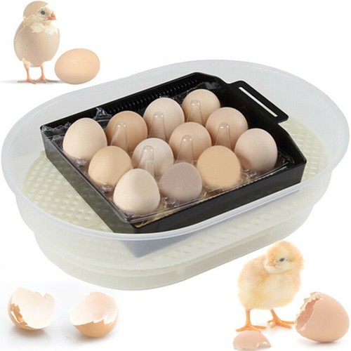 Janoel 12 Egg Incubator Fully Automatic Chicken Poultry Duck Quail Egg Hatcher eBay