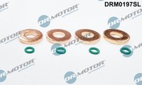 Dr.Motor Automotive DRM0197SL Dichtungssatz, EinspritzdüSe For CitroËN Fiat Peug