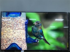 Sony Bravia Xr X90l 98" 4k Ultra Hd Tv Full Array Led Smart Google Tv Xr98x90l