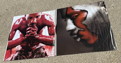 DMX Flesh Of My Flesh Blood Of My Blood Vinyl RAP HIP HOP - Bild 2 von 4