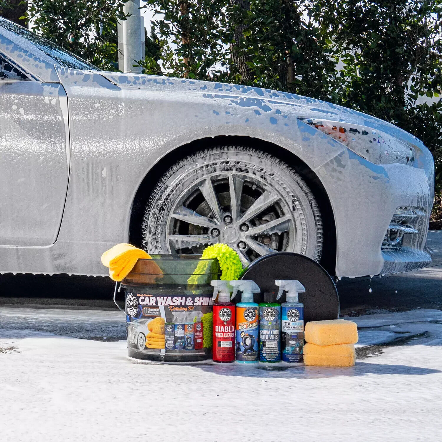 Chemical Guys Ultimate Package Car Wash and Shine Detailing Kit (11 pcs