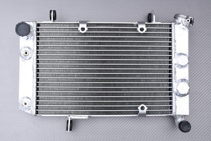 Radiateur eau racing contre surchauffe Arctic Cat DVX 400 - 4