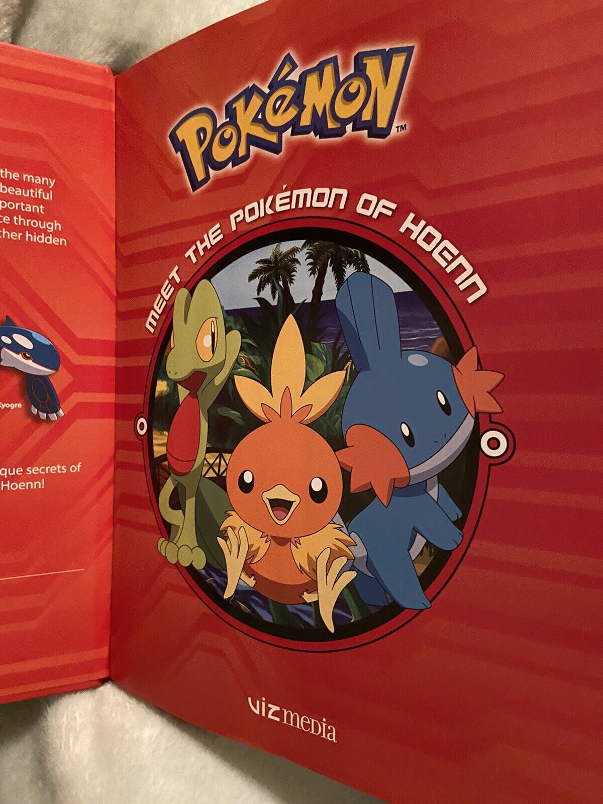 Pokemon Hoenn Collection Book, DVD, Buy Now