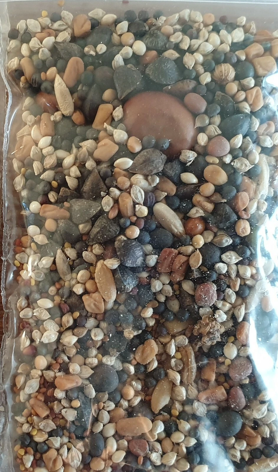 Picture 11 of 12