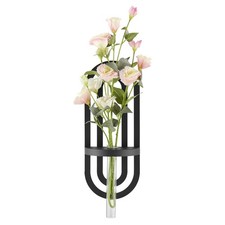 Danya B. Jacob Modern Black Metal Double Oval Frame Clear Glass,Vases