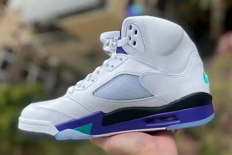 Jordan 5 Retro 2025 Grape for Sale | Authenticity Guaranteed | eBay