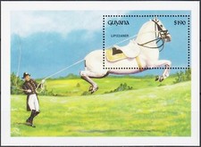 Guyana 1992 Cavallo Lipizzano Stallone Fattoria Cavalli Dressage Equitazione