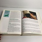 Picture 13 of 21