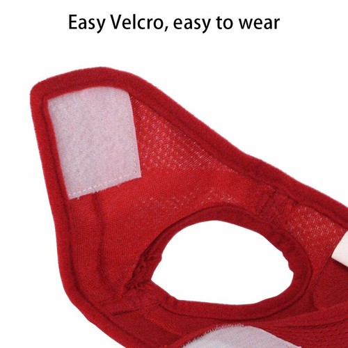 Small Dog Pet Puppy Harness And Leash Set Breathable Mesh Vest Chest Strap XS-XL - Picture 5 of 22