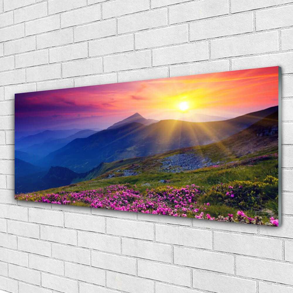 Tableau mural sur verre 125x50 cm grand format idéal pour salon nature et zen