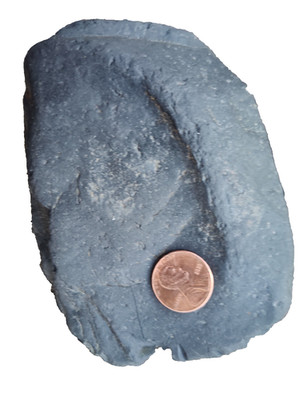 Coal Shale Mineral Stone rock pebble Specimen 275 gram