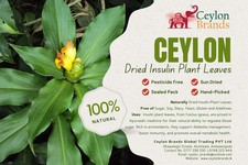 Ceylon Dried Insulin Plant Leaves Thebu 50 Leaves Natural Herbal Remedy