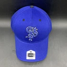 St. Paul Saints Mass Money Maker Snap Back Royal Blue Baseball Hat