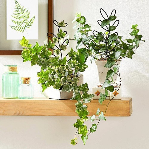 Enhance Your Indoor Greenery with Leaf Shape Plant Trellis (2 pack 12inch) - Bild 4 von 10