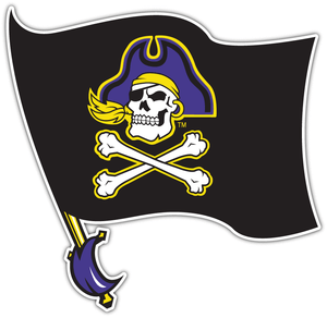 East Carolina Pirates College NCAA Vinyl Car Bumper Vinyl Sticker Decal 4.6/"