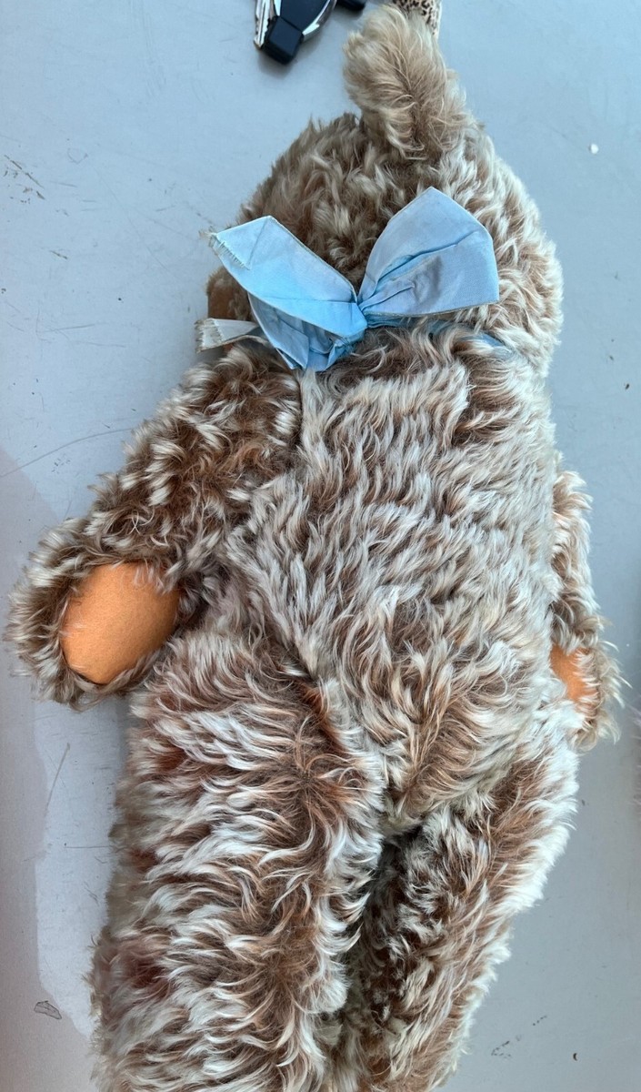 Vintage Steiff Original ZOTTY Bear Eulan Mottenecht Durch With Tag