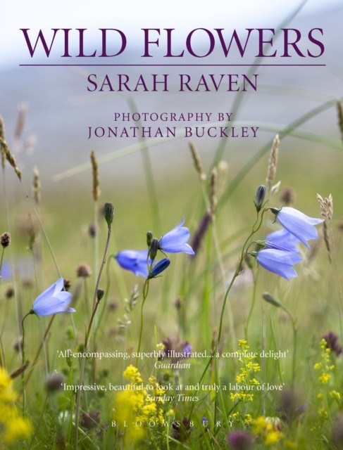 Sarah Raven's Wild Flowers by Sarah Raven (Paperback Book)