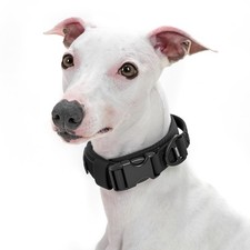 Dog Collar for Small Dogs, Soft Padded and Adjustable, Wide Heavy Duty Pet Co...