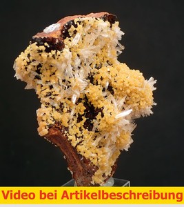 7025-Mimetite-Hemimorphite-ca-8-7-5-cm-Campana-Vein-Ojuela-Mine-Mexico-MOVIE