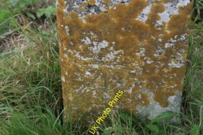 Photo 6x4 Benchmark on Boundary Stone, B3159 Winterborne Monkton Ordnance c2015