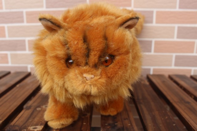 crookshanks stuffed cat