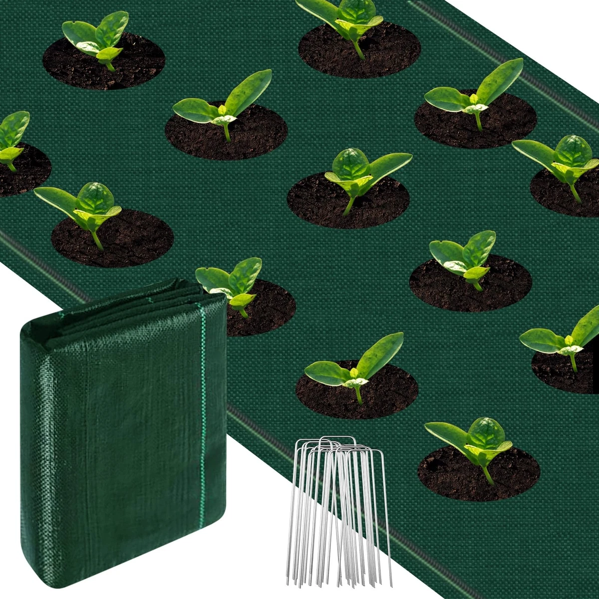 Weed Control Membrane 1m x 5m 100gsm Heavy-Duty with 10 Pegs UV – Green
