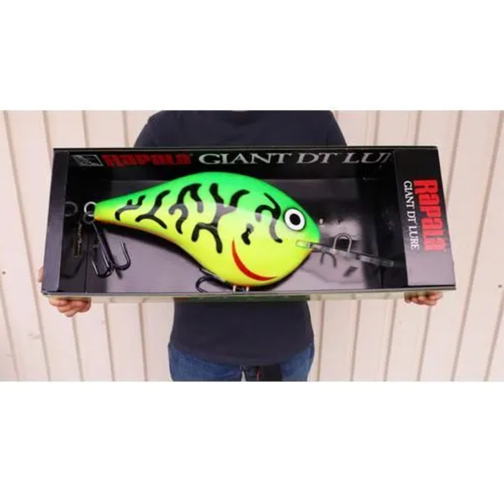 Rapala Giant Lure DT Model FireTiger Big Size Fish 60cm Display Decoration w/Box - Image 2
