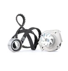 Timing belt kit + water pump Fiat Panda (169) Punto Lancia Y 1.1 1.2