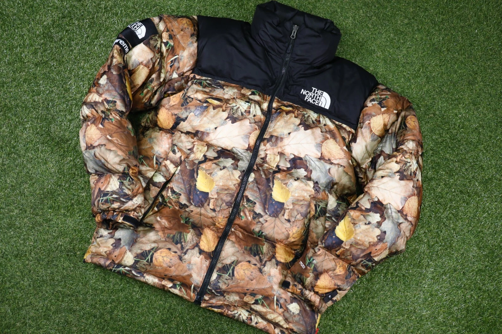 Veste camouflage FW16 Supreme x The North Face Nuptse Leaves taille M