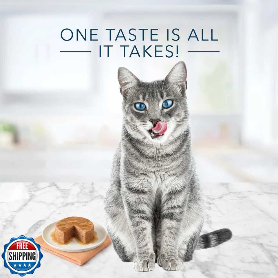 Paquete de variedad de alimentos húmedos para gatos Blue Buffalo Tastefuls paté natural, salmón, chicke Foto 4 de 4