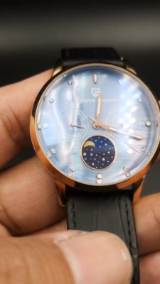 Nice PAGANI DESIGN moon-phase lady Quartz watch. PD-2723L | eBay