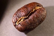 Kenya Peaberry Coffee Beans Medium Roast Whole Bean Fresh 5lb Five 1lb Bags