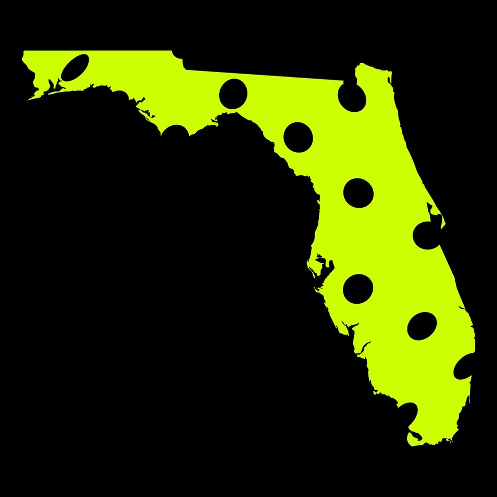 Pickleball State Florida Basic Cotton T Shirt - Black